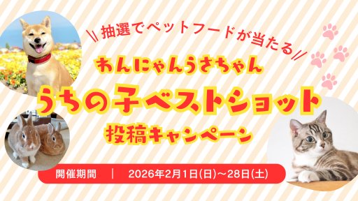 わんにゃんうさちゃんキャンペーン