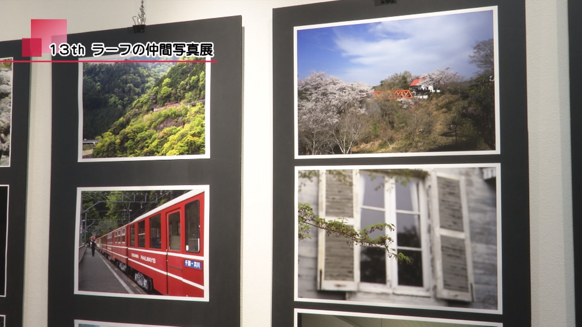 13th ラーフの仲間写真展 | メディアスチャンネル