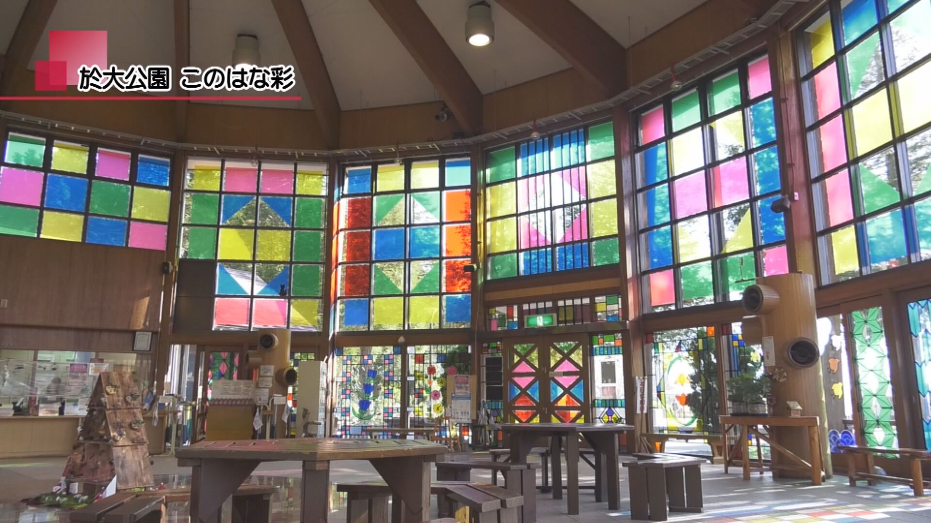 於大公園 このはな彩 | メディアスチャンネル