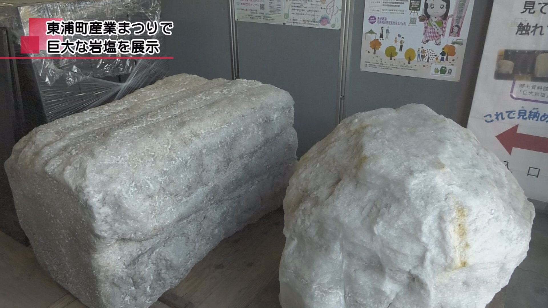 東浦町産業まつりで巨大な岩塩を展示 | メディアスチャンネル
