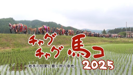 チャグチャグ馬コ2025 ～岩手の初夏に響く鈴の音色～