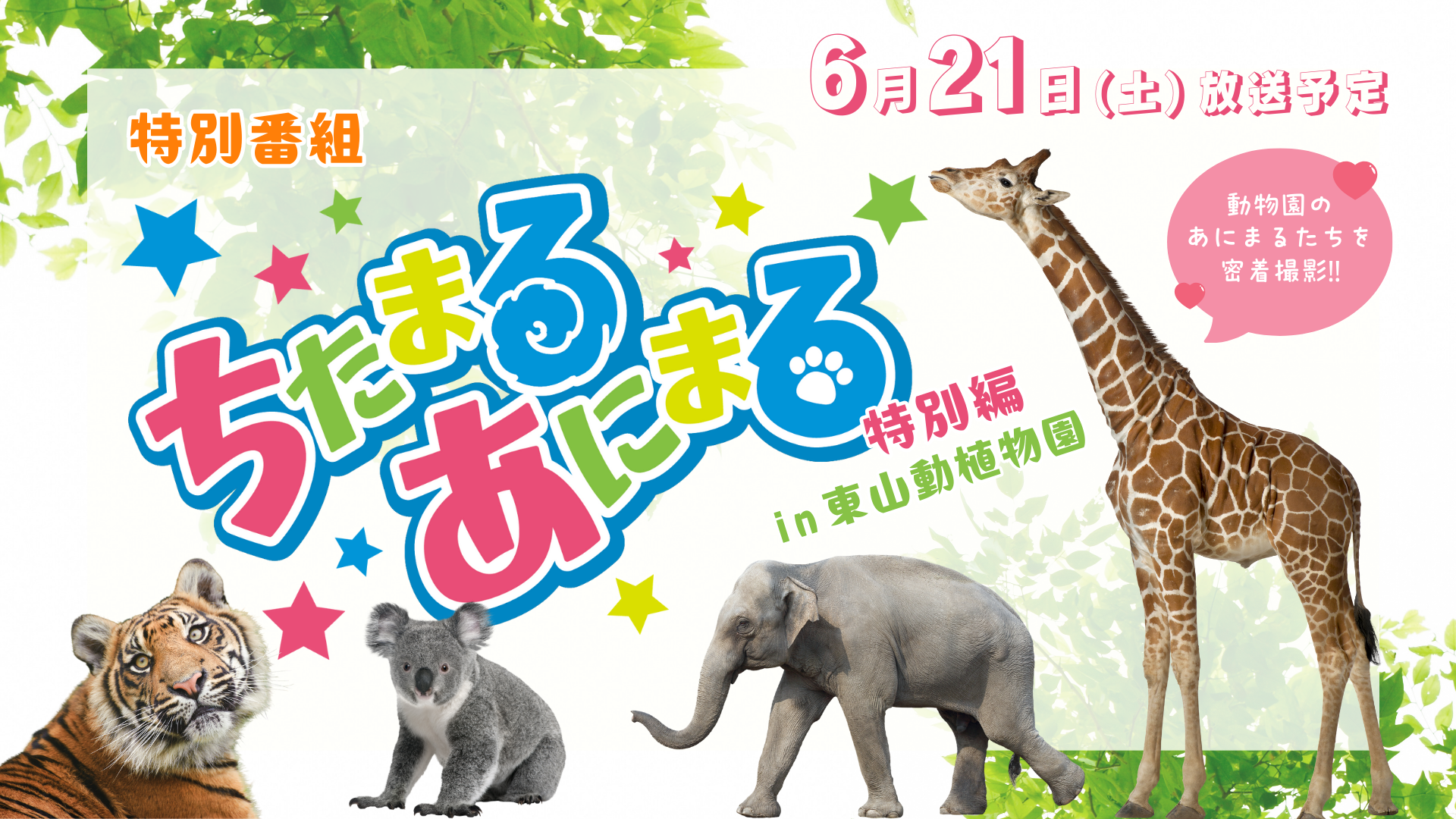 ちたまるあにまる特別編 in 東山動植物園
