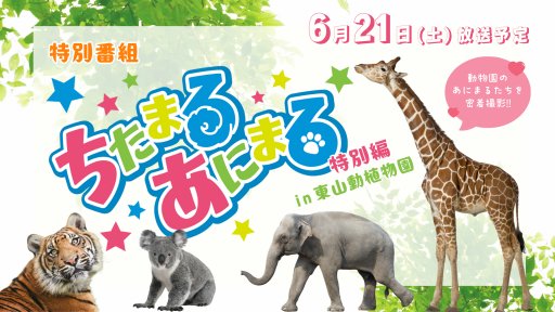 ちたまるあにまる特別編 in 東山動植物園