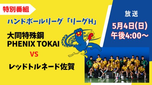 第48回日本ハンドボールリーグ　大同特殊鋼ハンドボール部フェニックス VS 琉球コラソン　