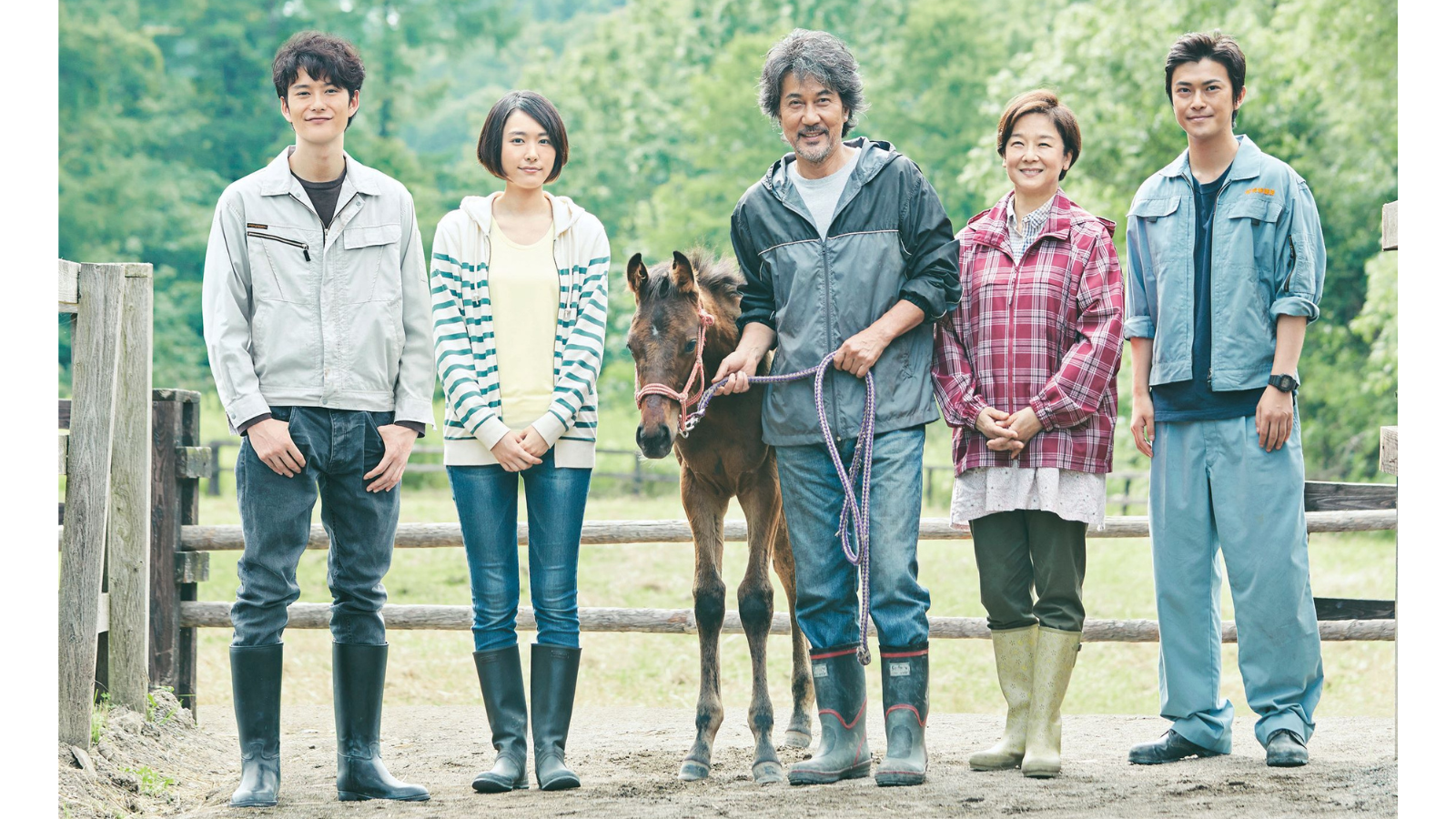 特集ドラマ　絆～走れ奇跡の子馬～